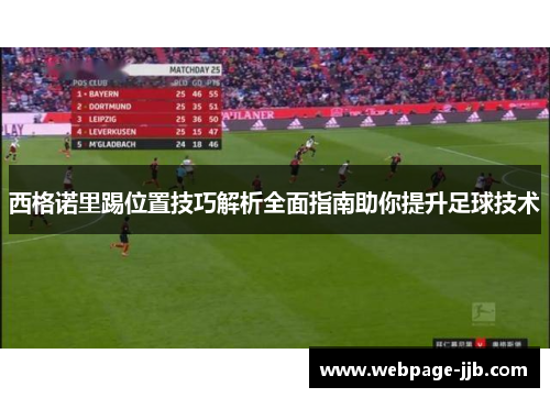 西格诺里踢位置技巧解析全面指南助你提升足球技术