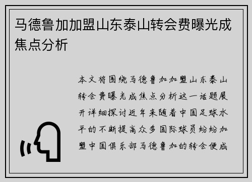 马德鲁加加盟山东泰山转会费曝光成焦点分析